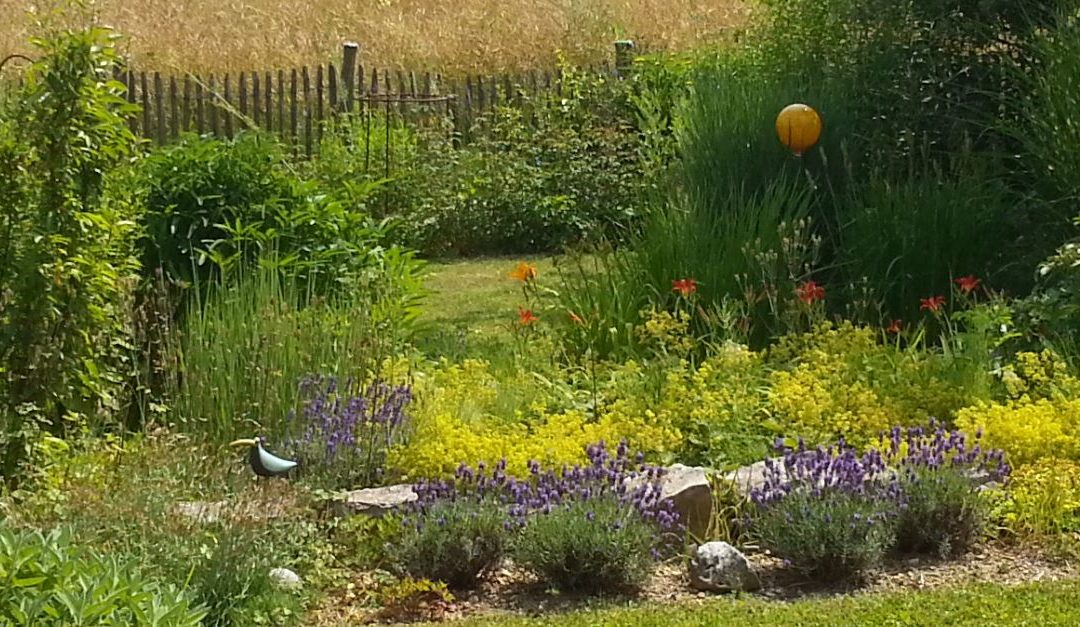 Artenschutz „Rettet die Bienen!“ beginnt im eigenen Hausgarten